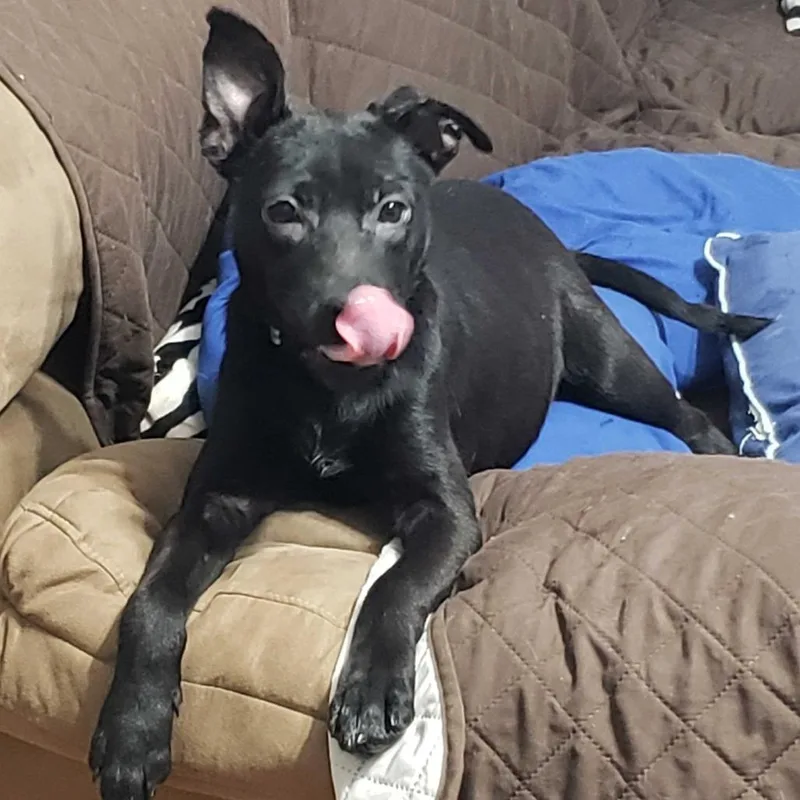 Bea