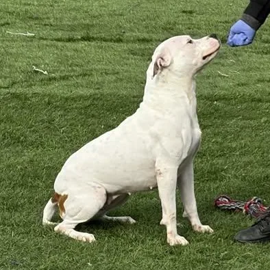 Marsha Brady thumbnail 2