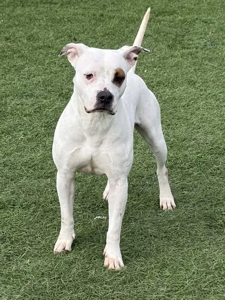 Marsha Brady thumbnail 3