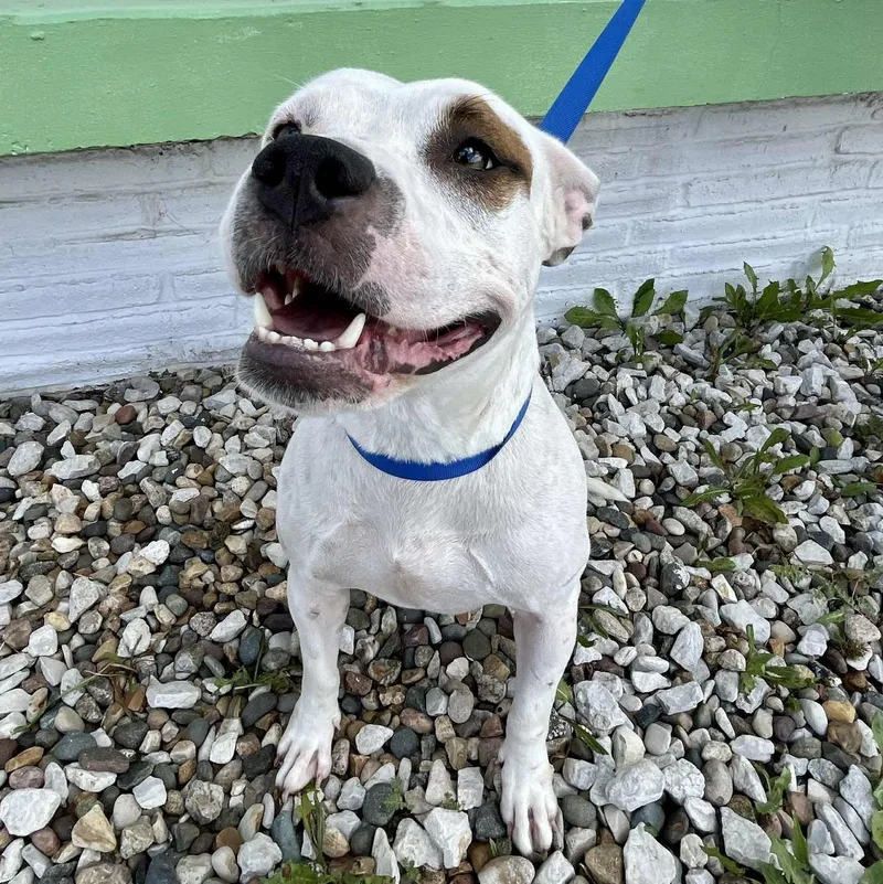 Marsha Brady thumbnail 4