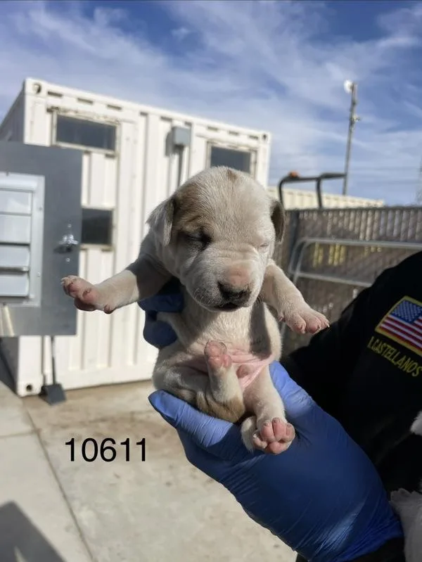 Max