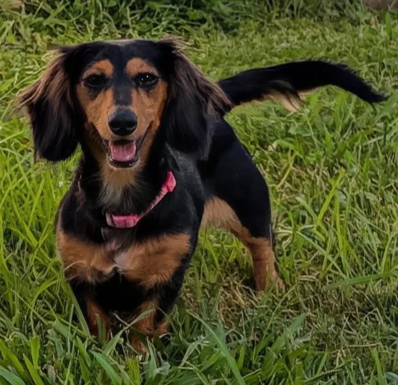 Jolene in NC thumbnail 3