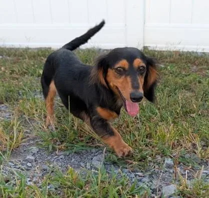 Jolene in NC thumbnail 4