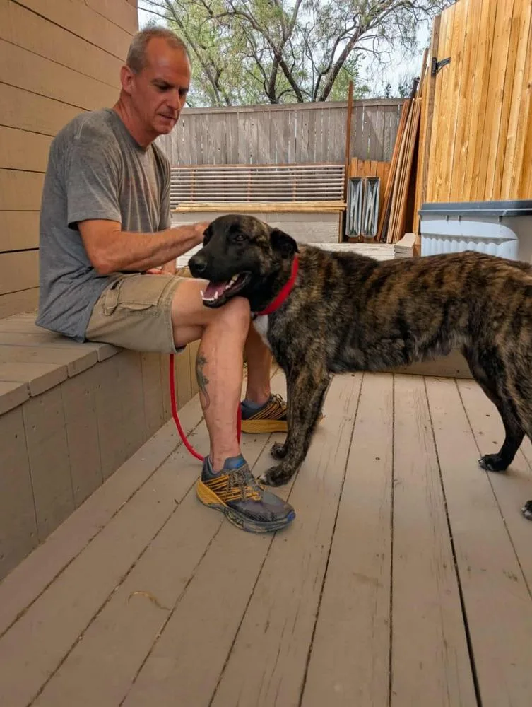 Knox Located In New thumbnail 2