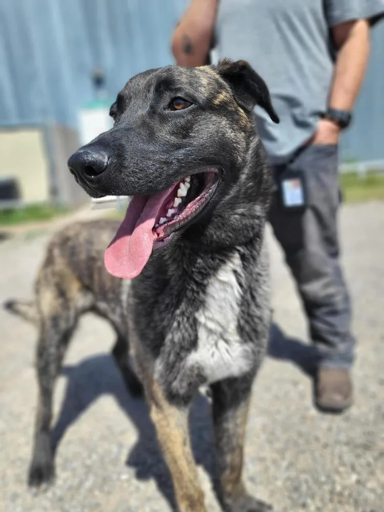 Knox Located In New thumbnail 4