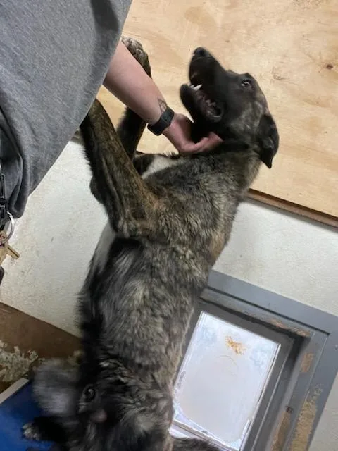 Knox Located In New thumbnail 5