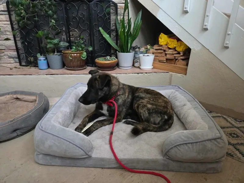 Knox Located In New thumbnail 6