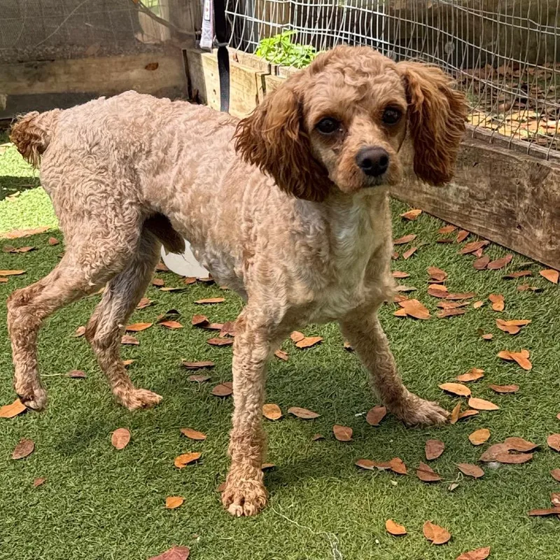 Fletcher thumbnail 2