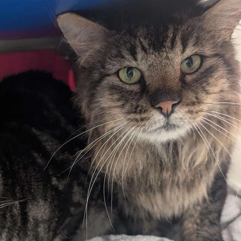 Billie & Elbert thumbnail 2