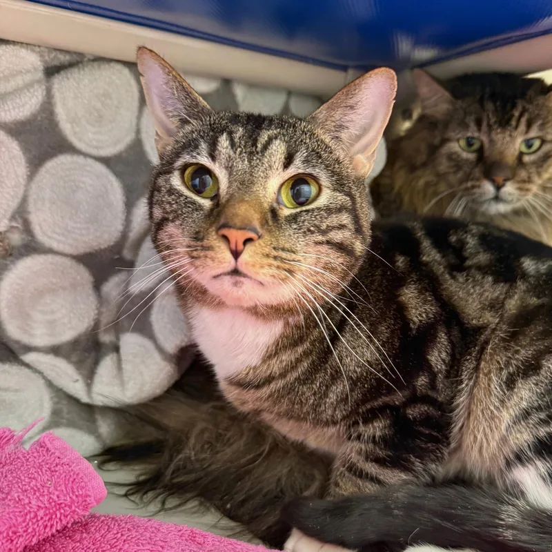 Billie & Elbert thumbnail 3