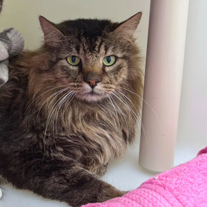 Billie & Elbert thumbnail 4