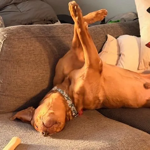 Nosy Mosby thumbnail 2