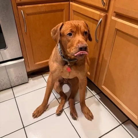 Nosy Mosby thumbnail 5