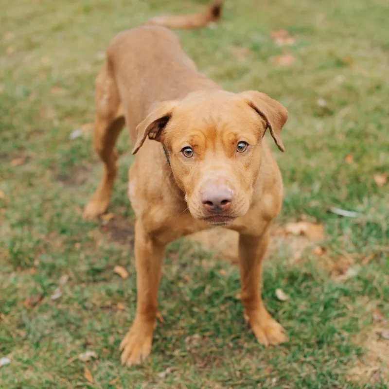 Nosy Mosby thumbnail 6