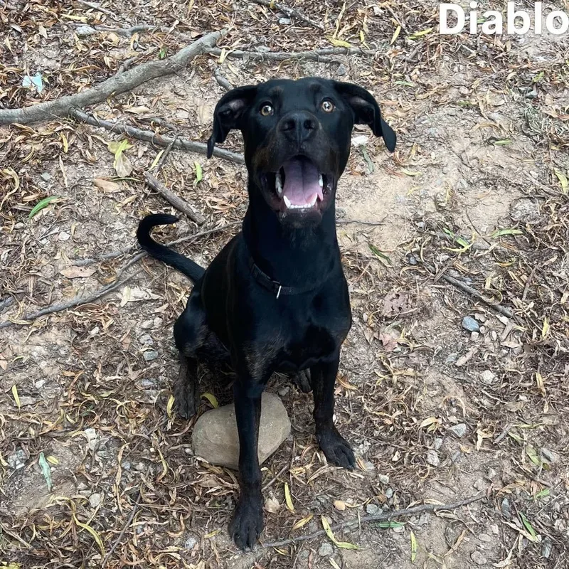 Diablo