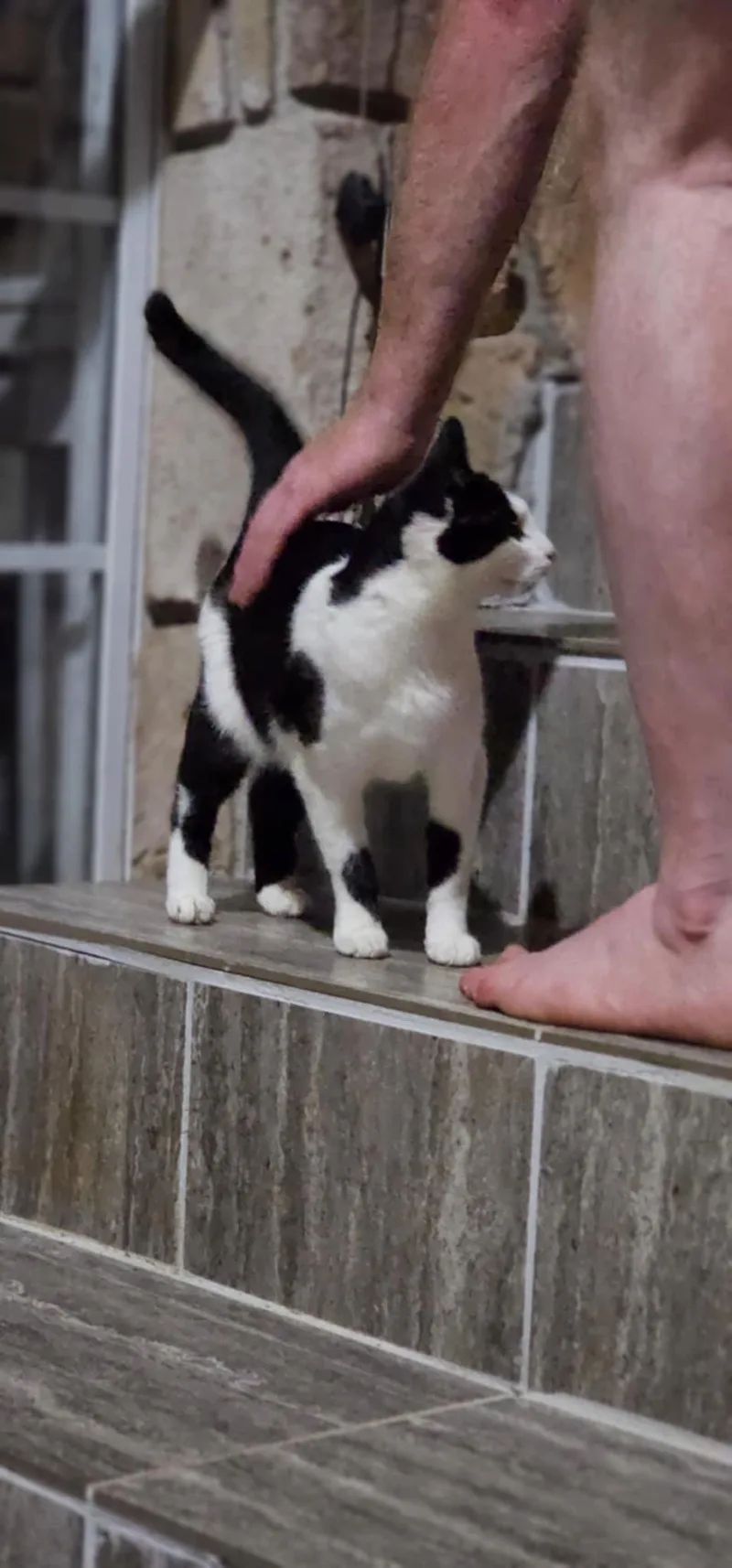 Pistachio $ thumbnail 3