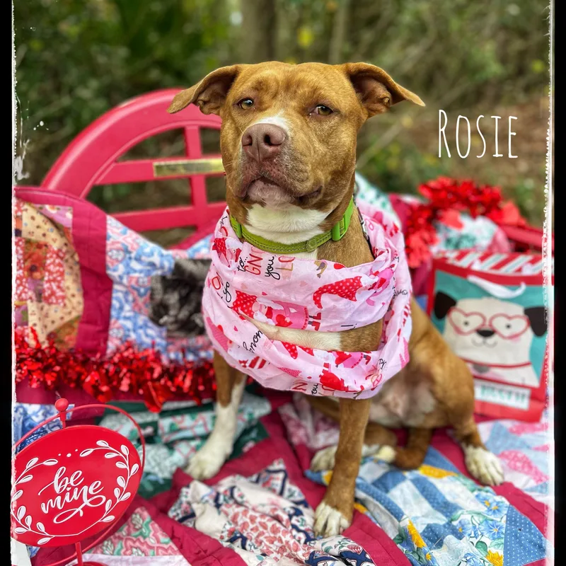 Rosie