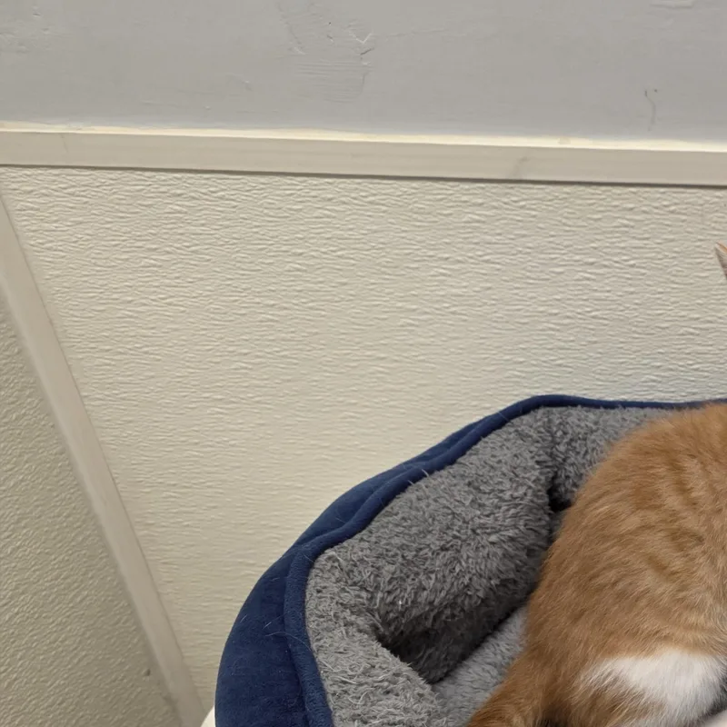 Deborah thumbnail 3
