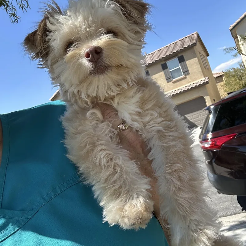 Sprocket thumbnail 2