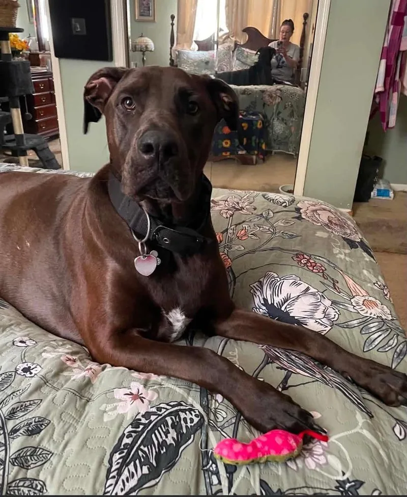 Zeus