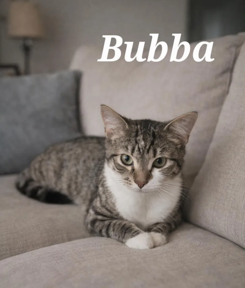 Bubba