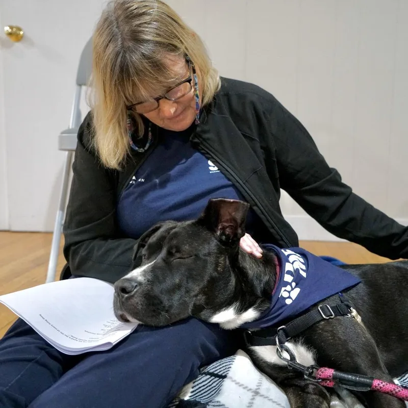 An adult medium-sized female Black Mixed Breed dog named Tessa for adoption in Hampton Bays, NY