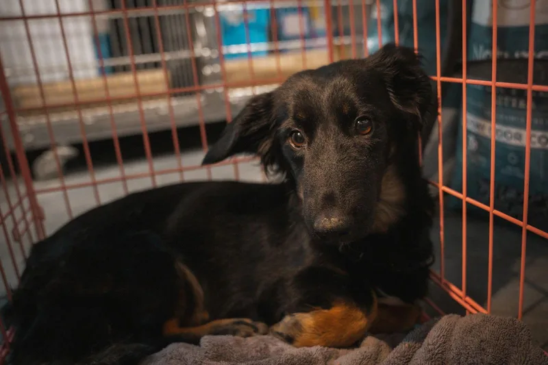 Becka & Freya thumbnail 2