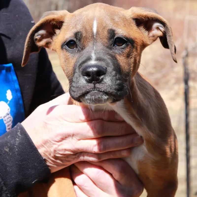 Ct Haymitch thumbnail 2