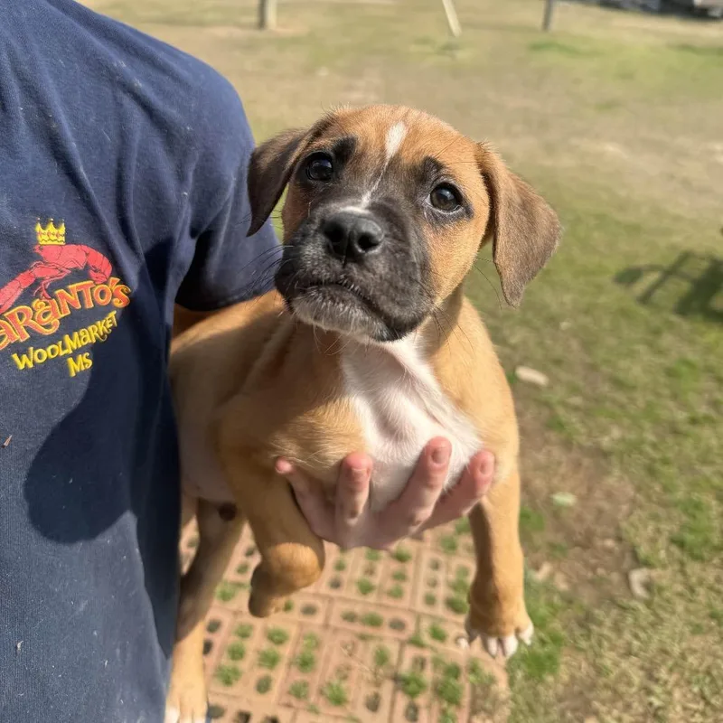 Ct Haymitch thumbnail 3