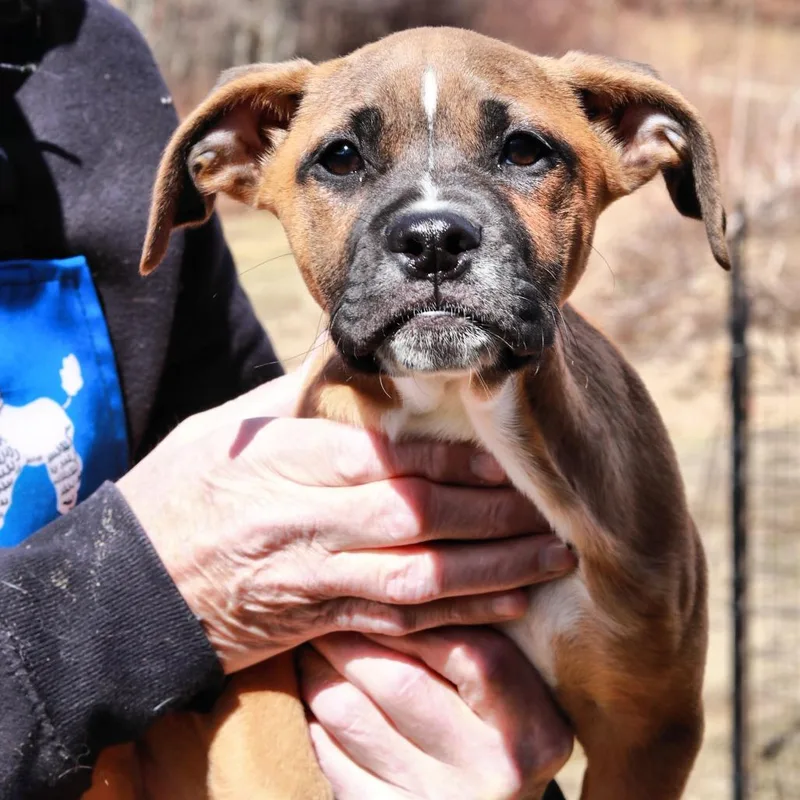 Ct Haymitch thumbnail 4