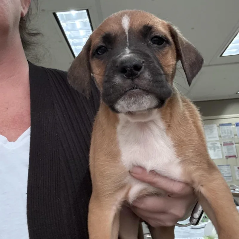 Ct Haymitch thumbnail 5