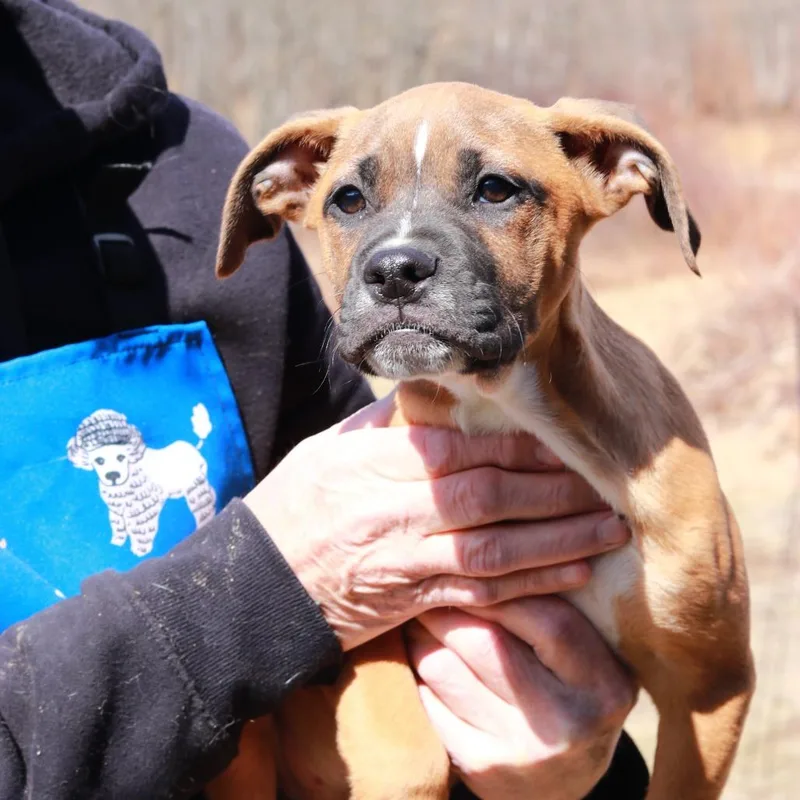 Ct Haymitch thumbnail 6