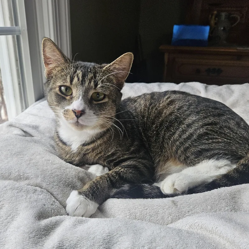 Beans And Bugz  thumbnail 3