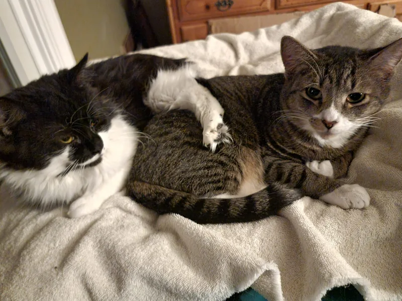 Beans And Bugz  thumbnail 5