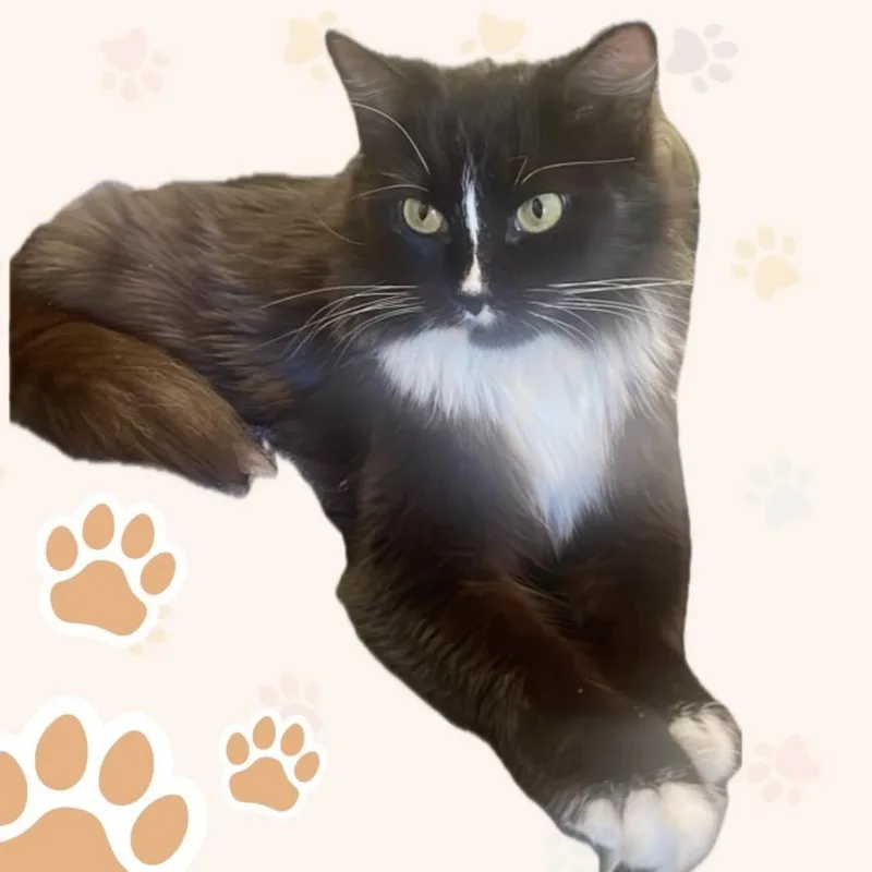 Clarice thumbnail 4