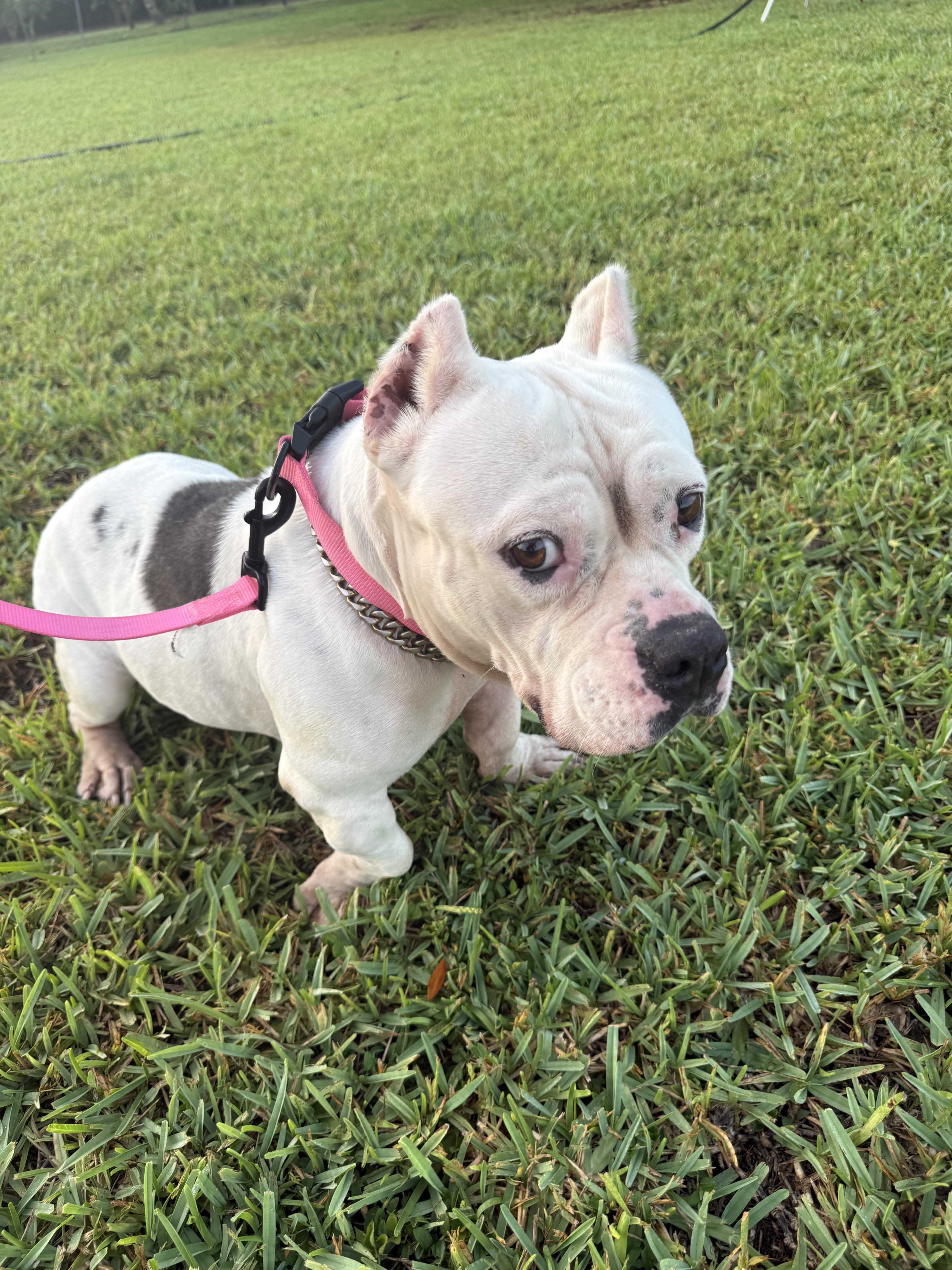 Chloe thumbnail 4