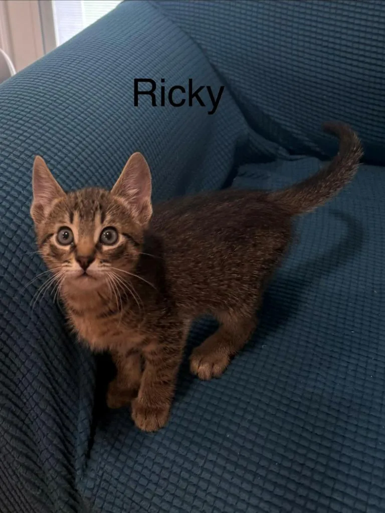 Ricky