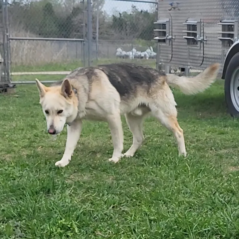 Richardson thumbnail 2