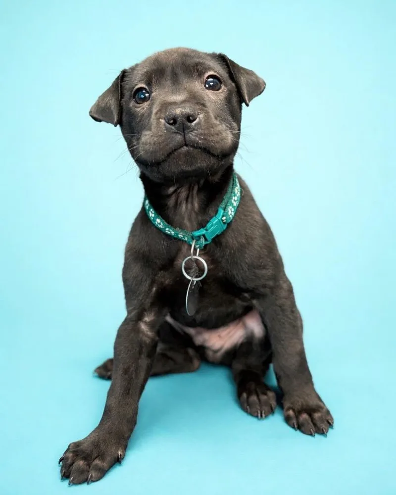 Birthday Cake thumbnail 6