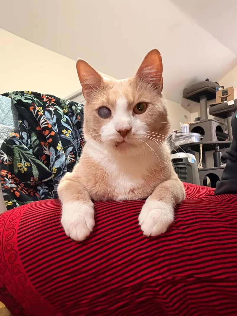 Guy From Fahrenheit thumbnail 3