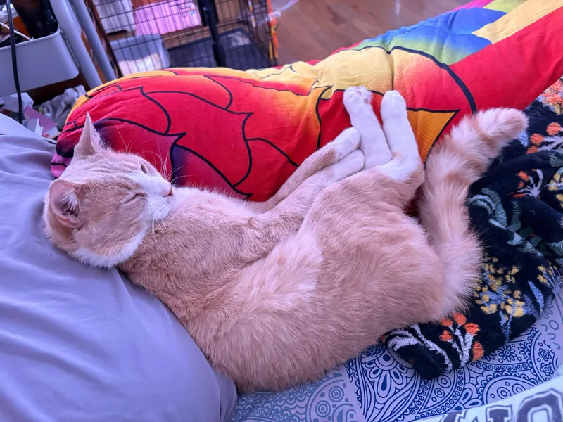 Guy From Fahrenheit thumbnail 5