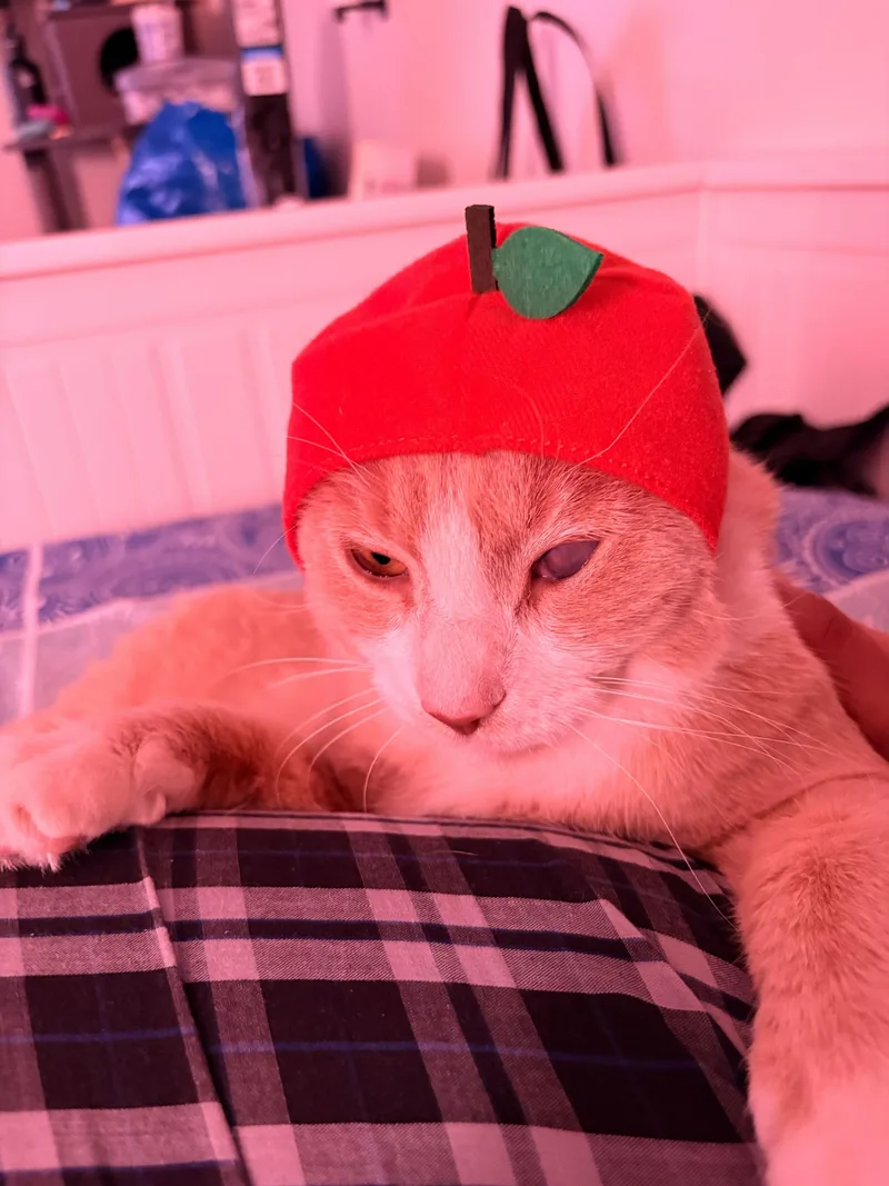 Guy From Fahrenheit thumbnail 6