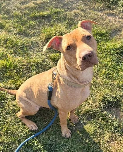 Honey Bun thumbnail 2