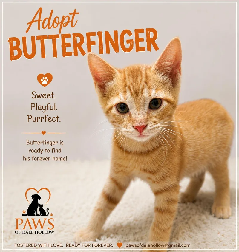 Butterfinger thumbnail 2
