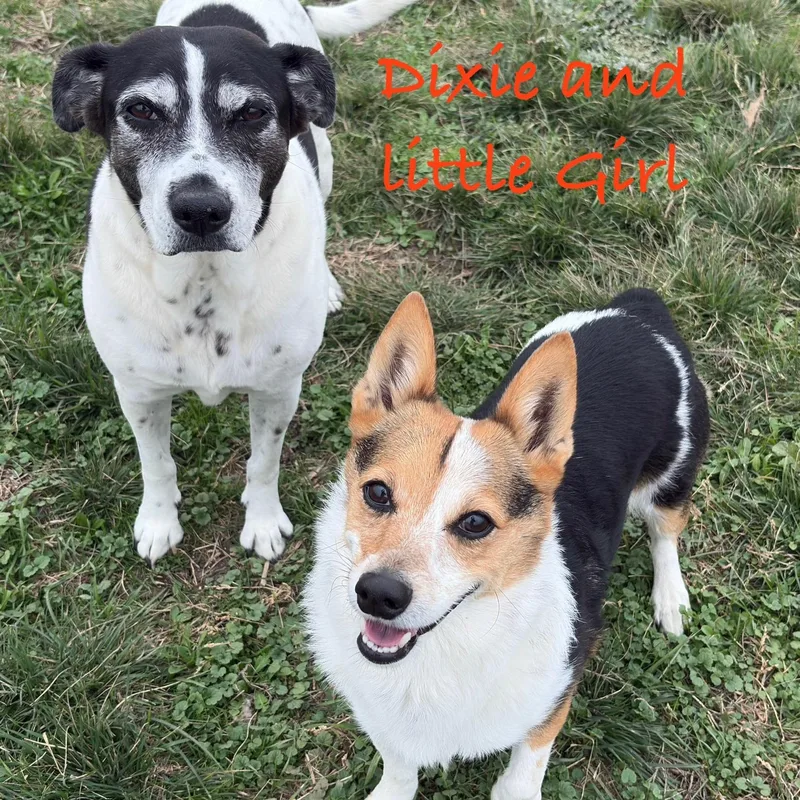 Dixie And Little Girl