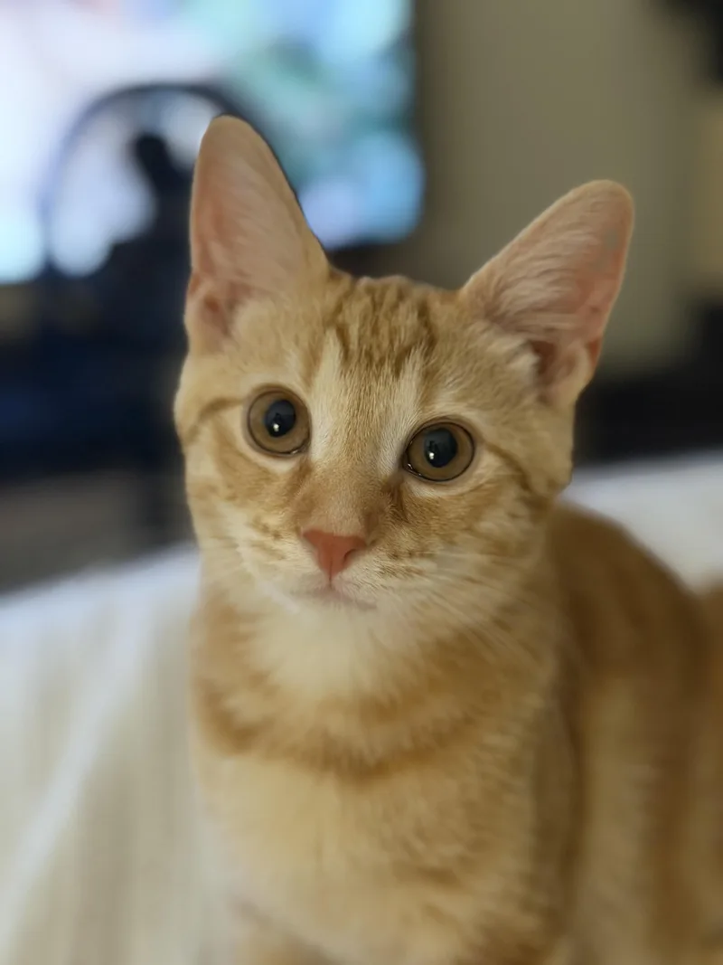 Colby thumbnail 2