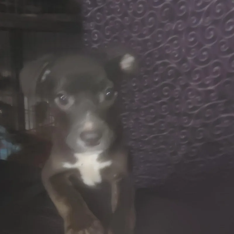 Ezzie thumbnail 2