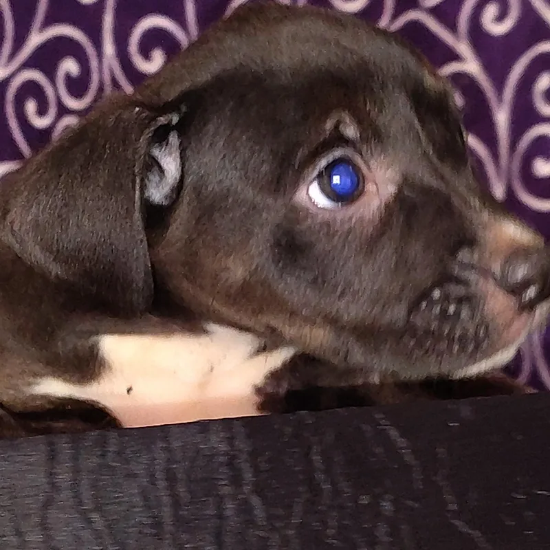 Ezzie thumbnail 4