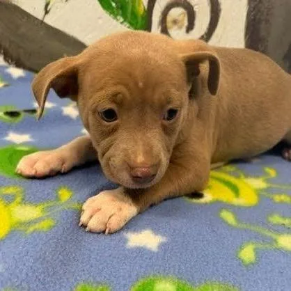 Fiona