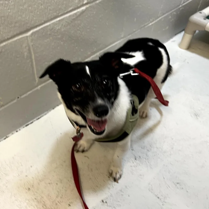 Sebastian thumbnail 2